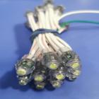 LED-Модулі LED-модуль швидкого монтажу 12V 0,08W IP65 (синій) №101/3