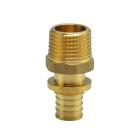 Push-фітінги для Pex труб Raftec Муфта натяжна з ЗР Ø16x1/2 PSN1601