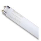 Лампи люмінесцентні PHILIPS Лампа люмінесцентна T8 36W G13