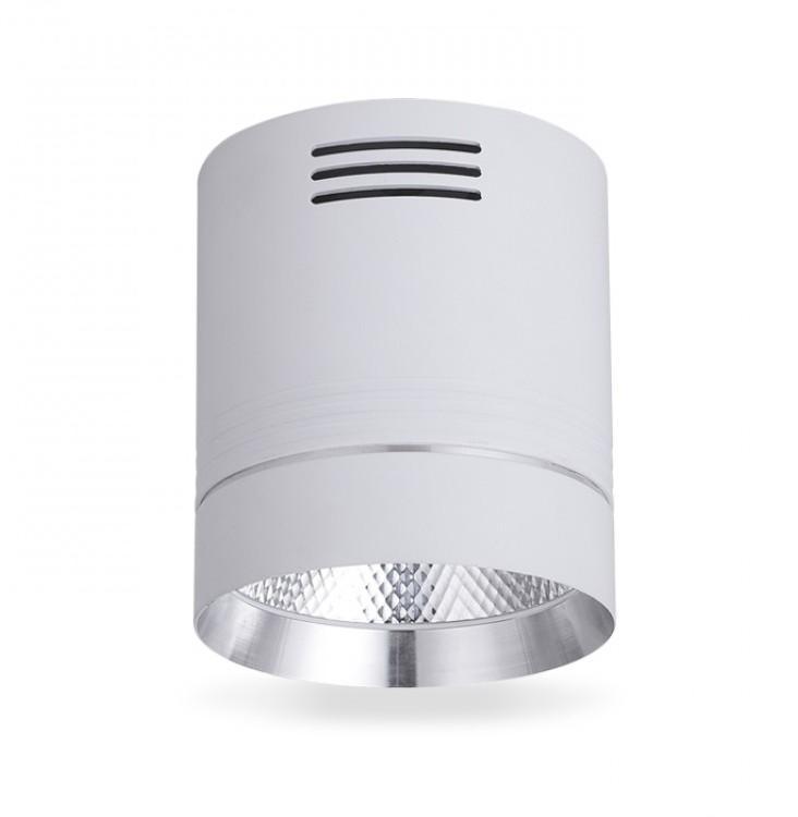 Акцентные светильники  Feron LED-Светильник акцентный COB 10W 4000K (белый+серебро) AL542