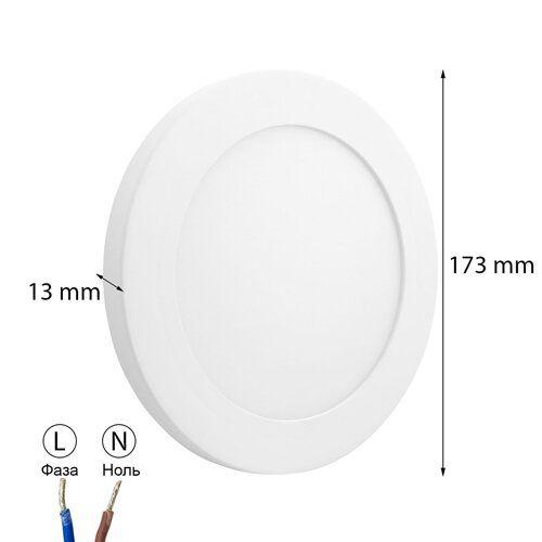 LED-Светильники (накладные) BIOM LED-Светильник накладной (круг) 12w 5000K SF-R12-5