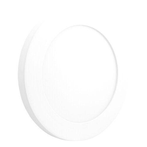 LED-Светильники (накладные) BIOM LED-Светильник накладной (круг) 12w 5000K SF-R12-5