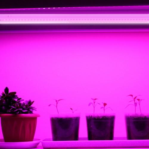 Cветильники для растений Feron LED-Светильник Флора T5 14W AL7001