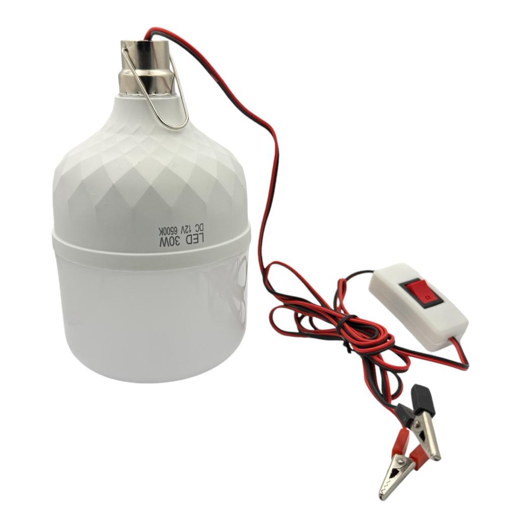 LED-Лампы LED-Лампа автомобільна 12V 30W з крокодилами та вимикачем