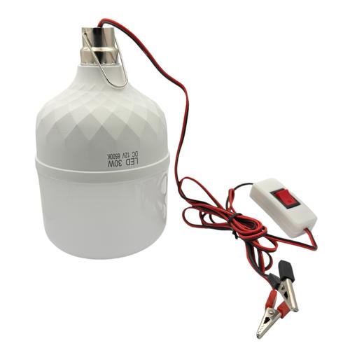LED-Лампа автомобільна 12V 30W з крокодилами та вимикачем