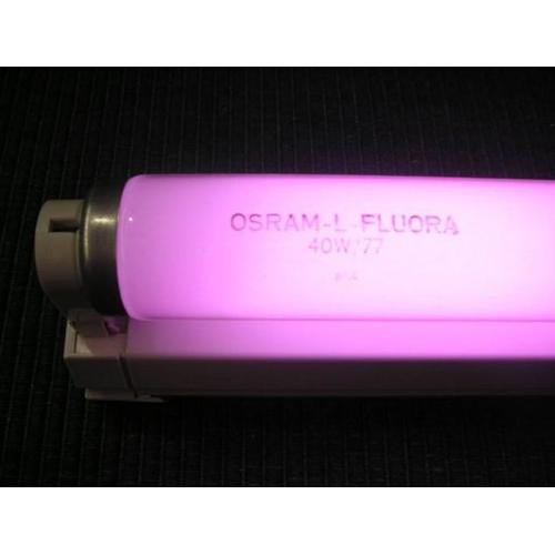 OSRAM Лампа люмінесцентна для рослин T8 18W/77