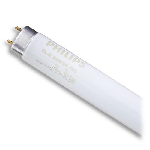 PHILIPS Лампа люмінесцентна T8 36W G13