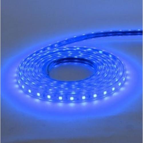 HOROZ LED-Стрічка SMD5050 220V 10W IP65 (синя) Volga