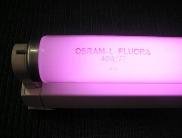 OSRAM Лампа люмінесцентна для рослин T8 18W/77