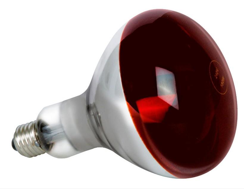RightHausen Лампа інфрачервона 125W E27